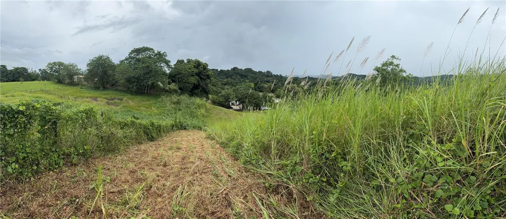 ROUTE 159 Corozal, PR 00783