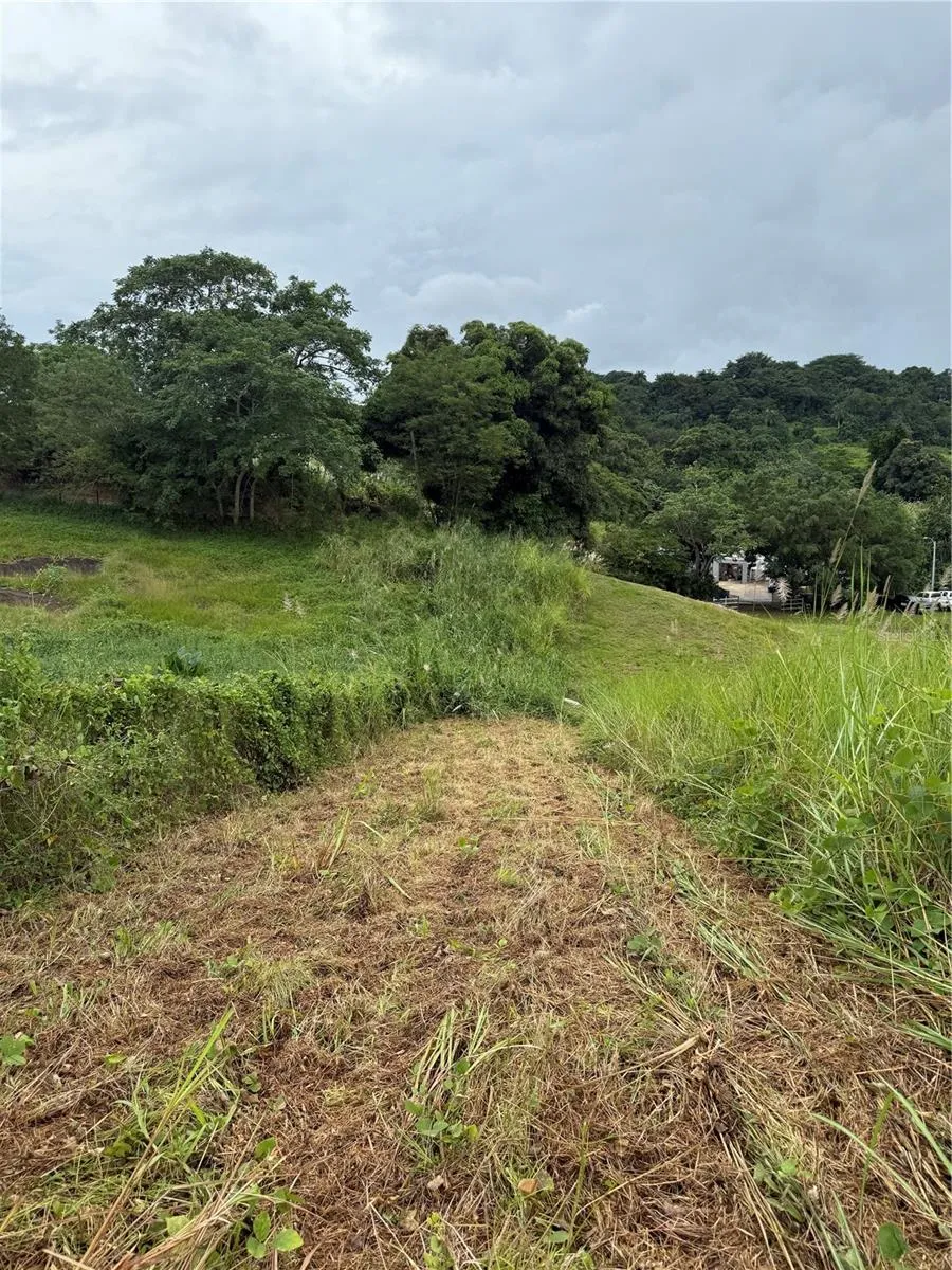 ROUTE 159 Corozal, PR 00783