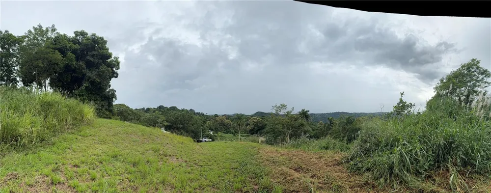 ROUTE 159 Corozal, PR 00783