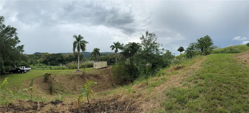 ROUTE 159 Corozal, PR 00783