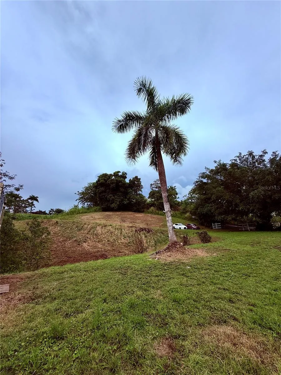 ROUTE 159 Corozal, PR 00783