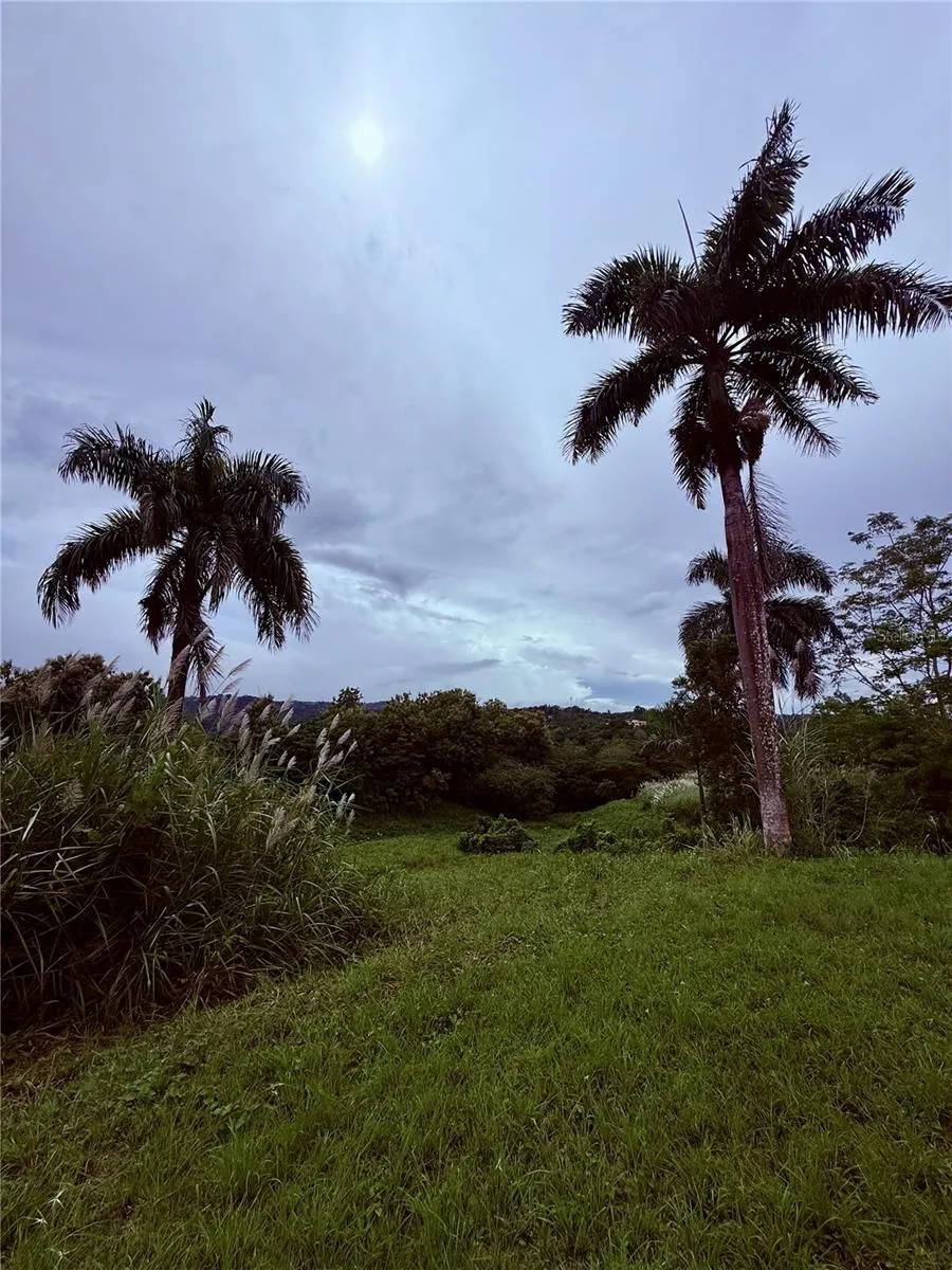 ROUTE 159 Corozal, PR 00783