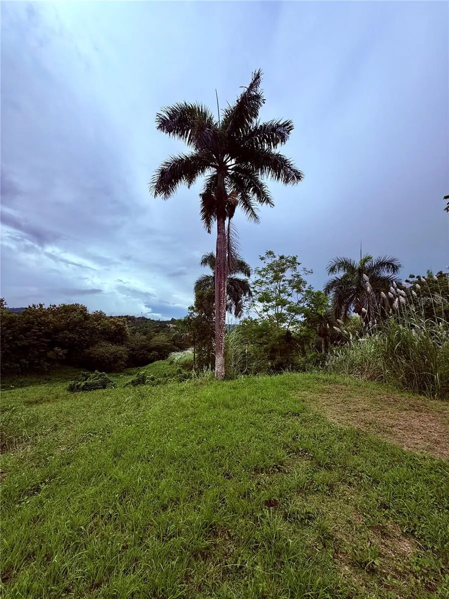 ROUTE 159 Corozal, PR 00783