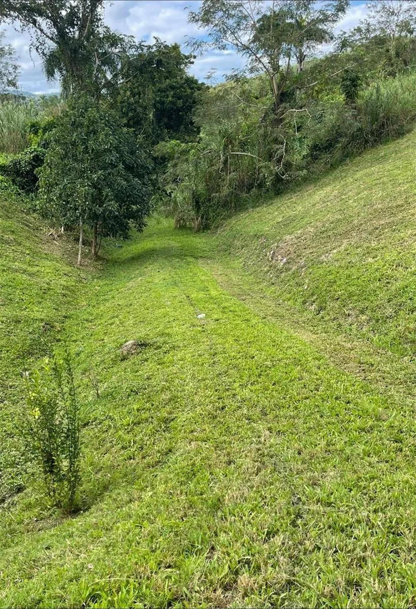 ROUTE 159 Corozal, PR 00783
