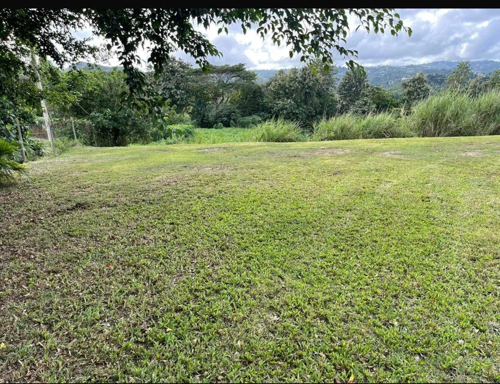 ROUTE 159 Corozal, PR 00783