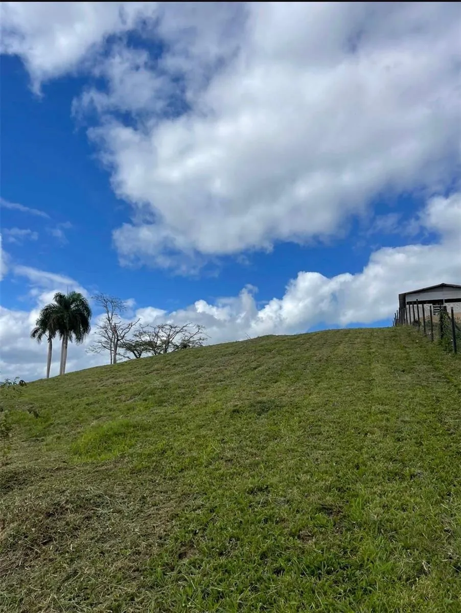 ROUTE 159 Corozal, PR 00783