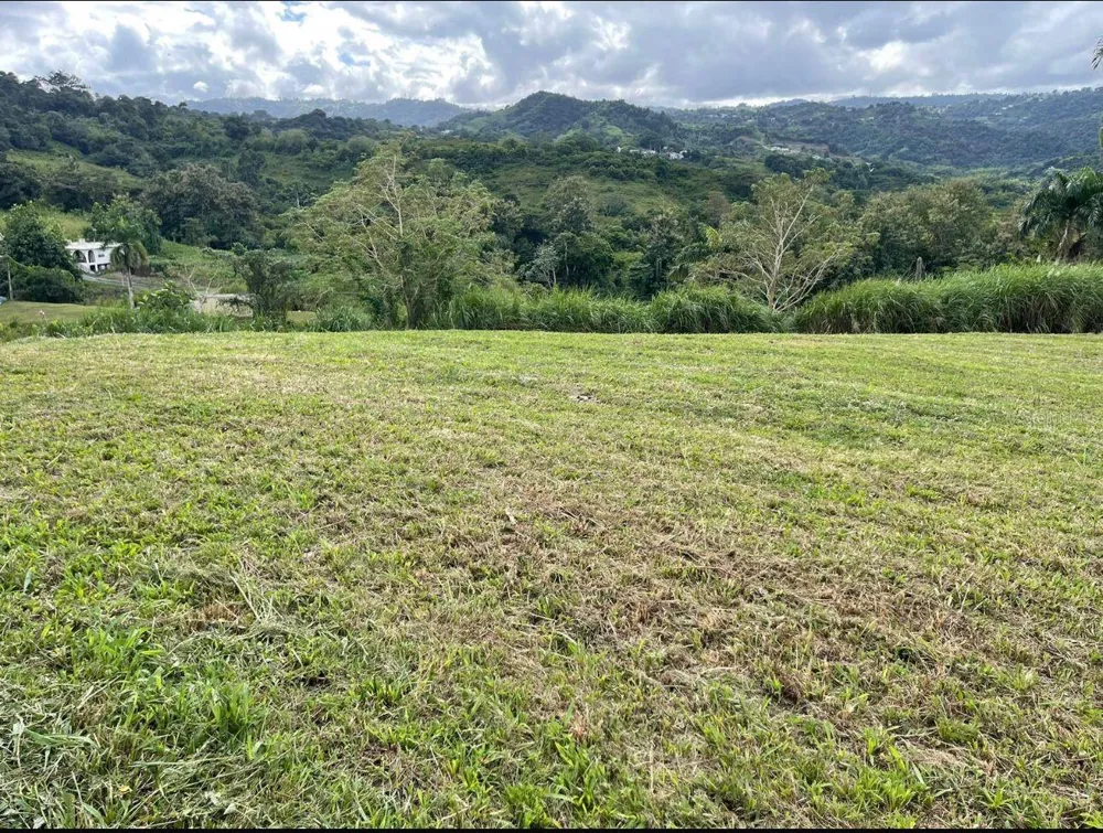 ROUTE 159 Corozal, PR 00783