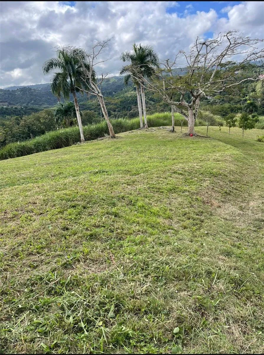 ROUTE 159 Corozal, PR 00783