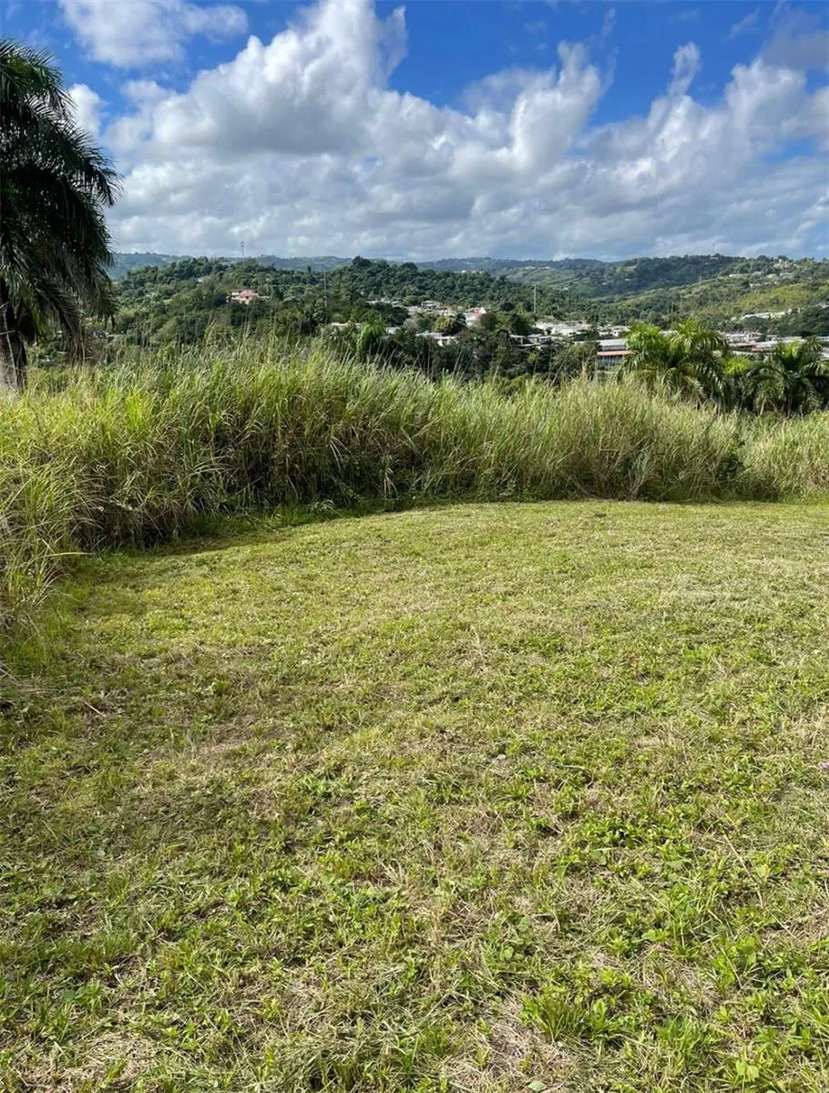 ROUTE 159 Corozal, PR 00783