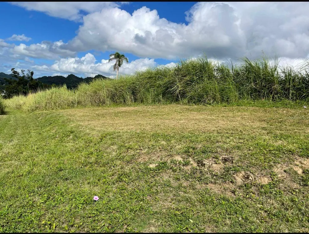 ROUTE 159 Corozal, PR 00783