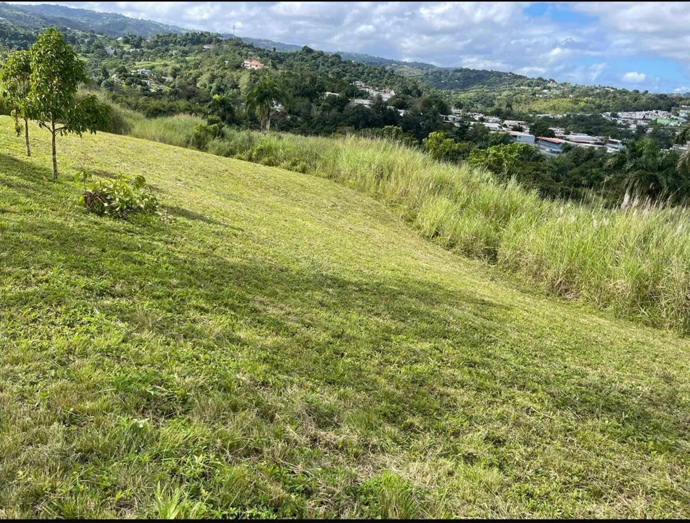 ROUTE 159 Corozal, PR 00783