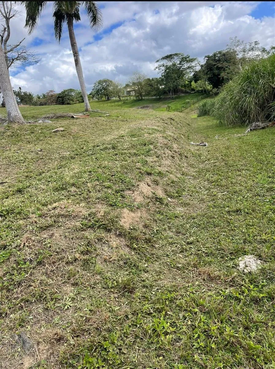 ROUTE 159 Corozal, PR 00783