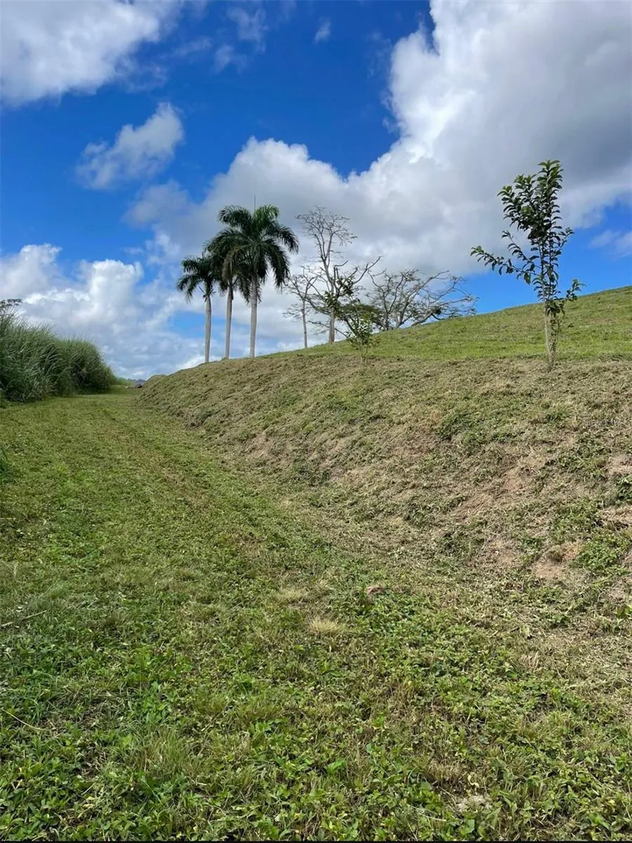 ROUTE 159 Corozal, PR 00783