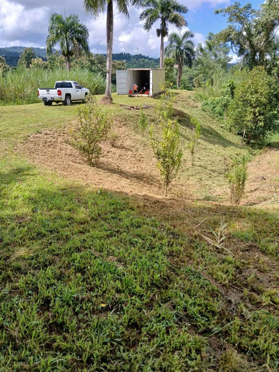 ROUTE 159 Corozal, PR 00783