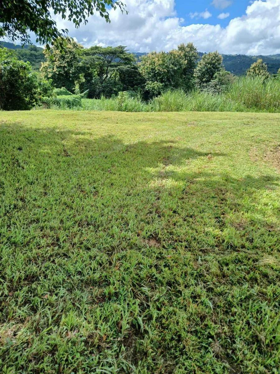 ROUTE 159 Corozal, PR 00783