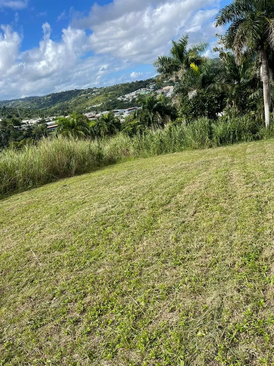 ROUTE 159 Corozal, PR 00783