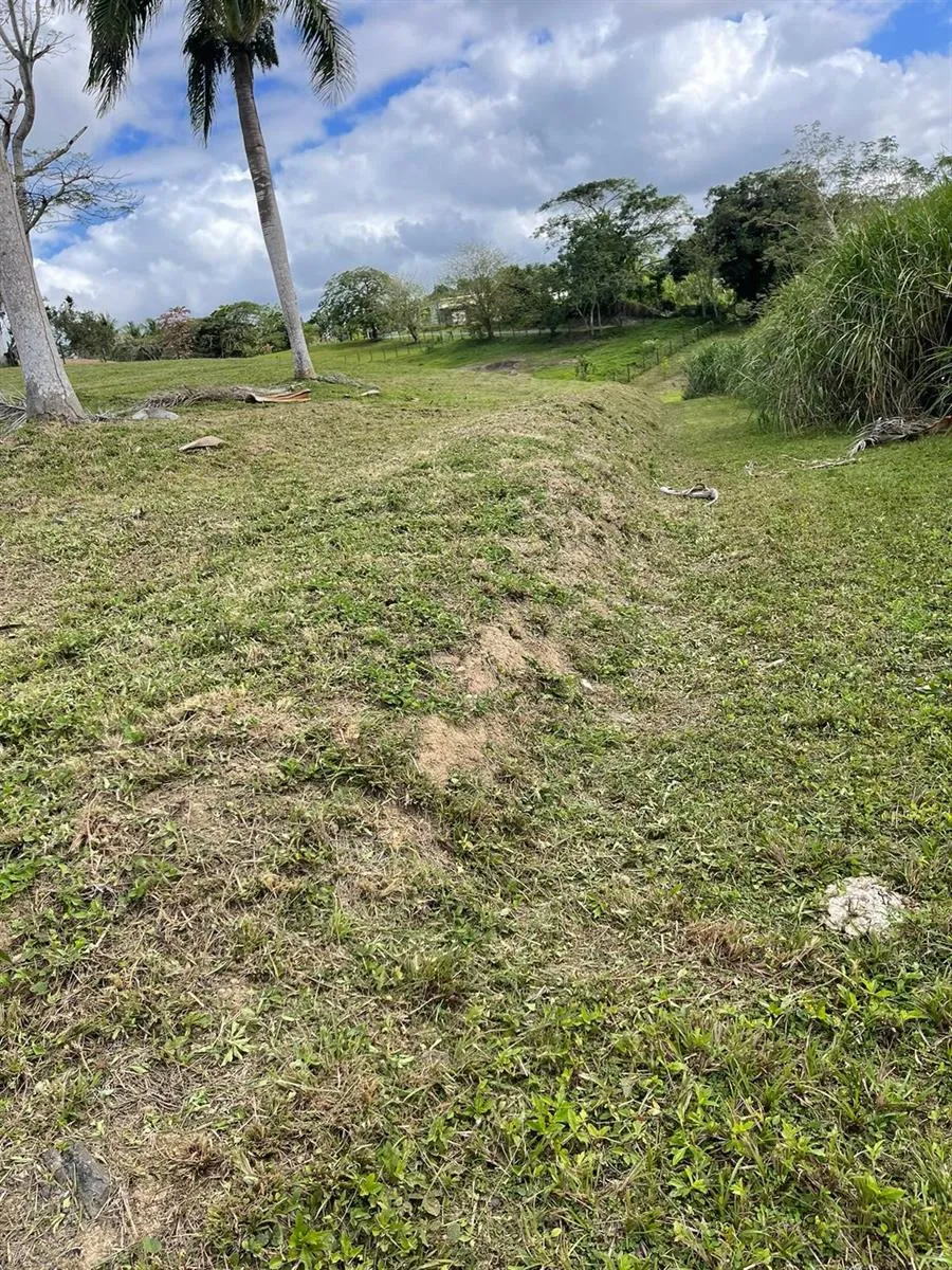 ROUTE 159 Corozal, PR 00783