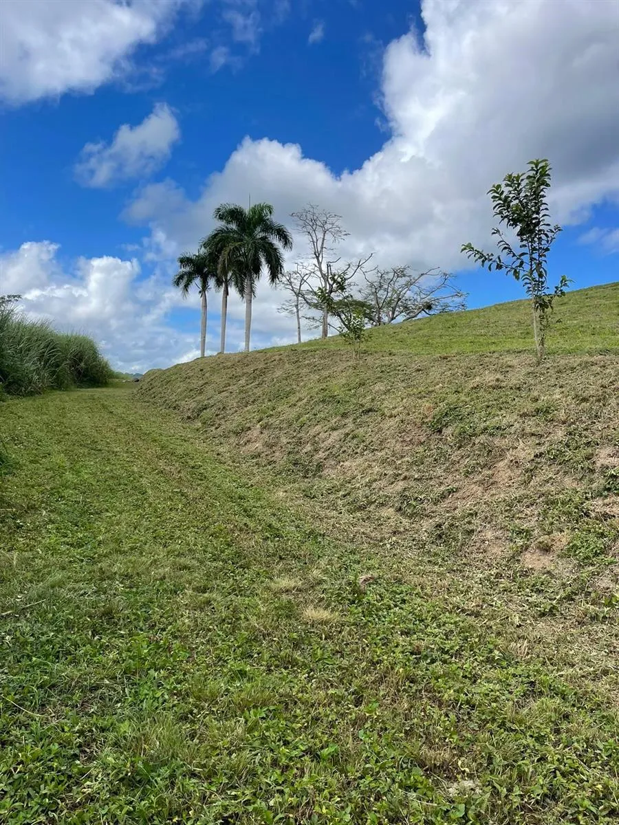 ROUTE 159 Corozal, PR 00783