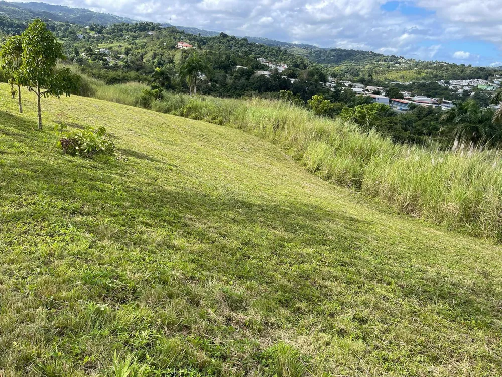 ROUTE 159 Corozal, PR 00783