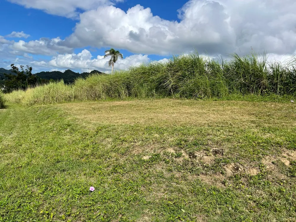 ROUTE 159 Corozal, PR 00783