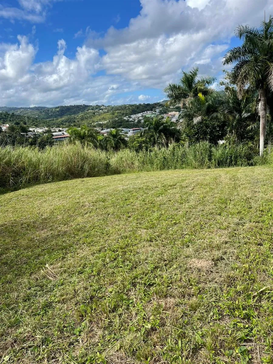 ROUTE 159 Corozal, PR 00783