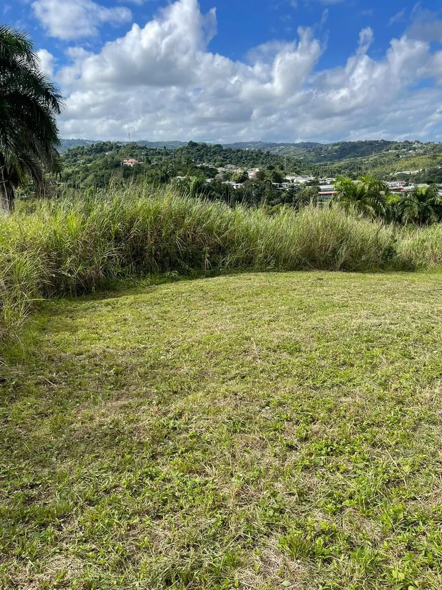 ROUTE 159 Corozal, PR 00783