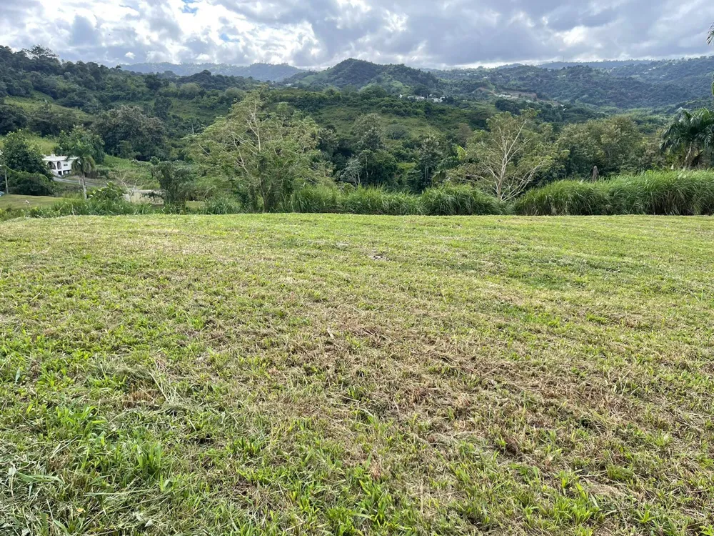ROUTE 159 Corozal, PR 00783
