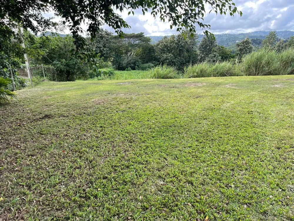 ROUTE 159 Corozal, PR 00783