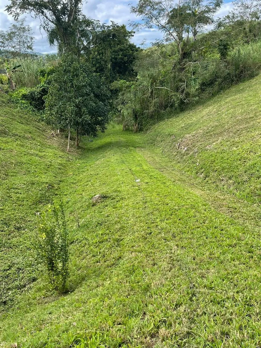 ROUTE 159 Corozal, PR 00783