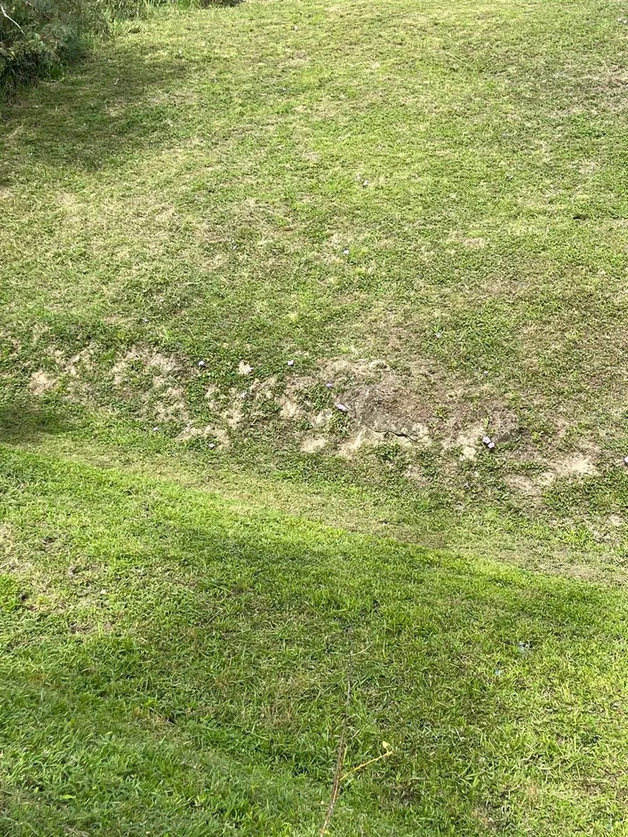 ROUTE 159 Corozal, PR 00783