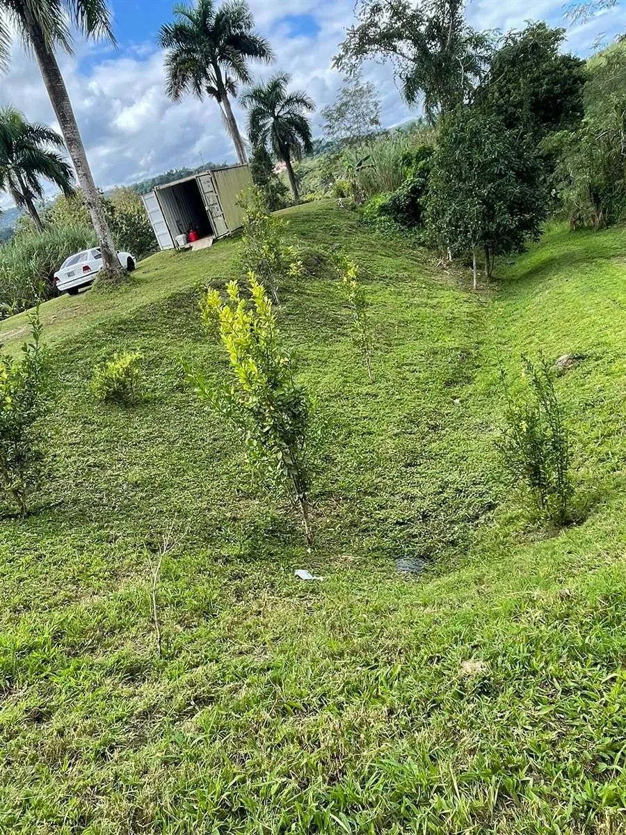ROUTE 159 Corozal, PR 00783