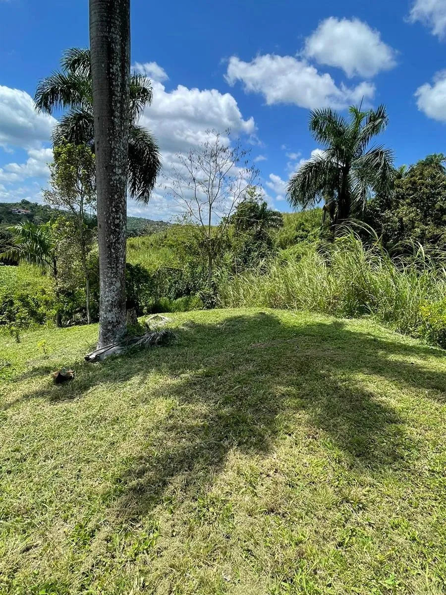ROUTE 159 Corozal, PR 00783