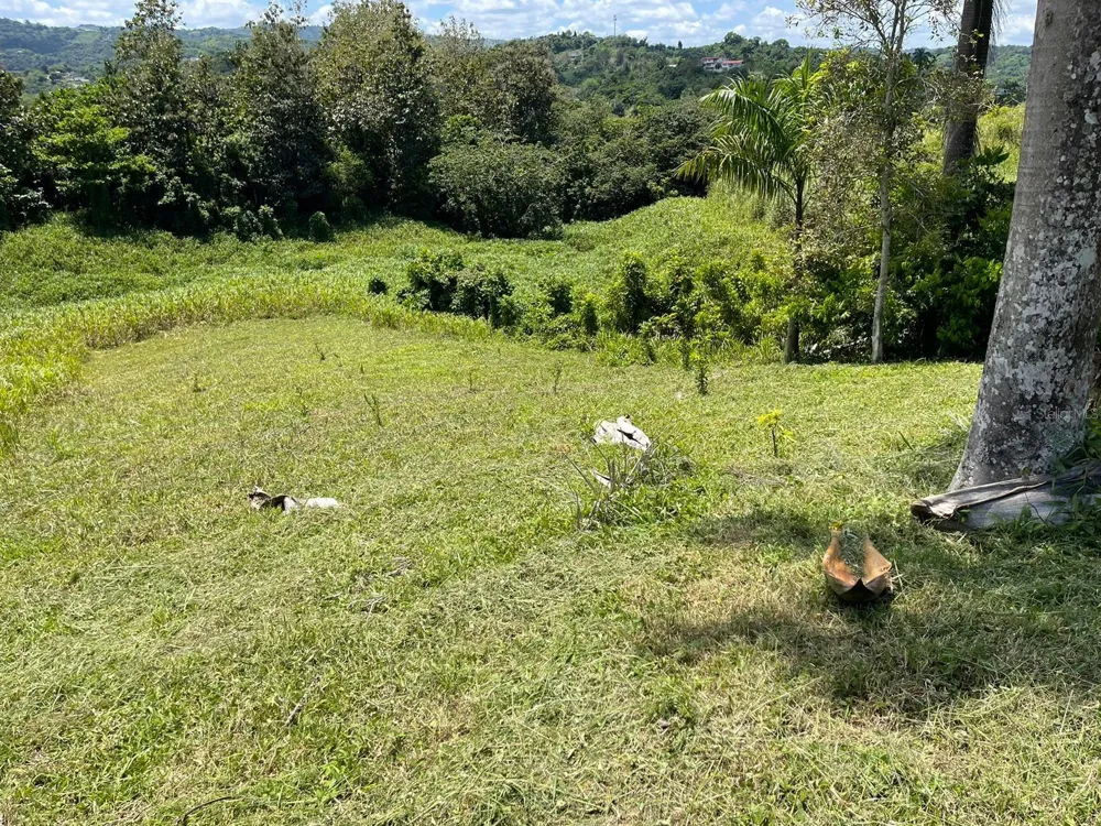 ROUTE 159 Corozal, PR 00783