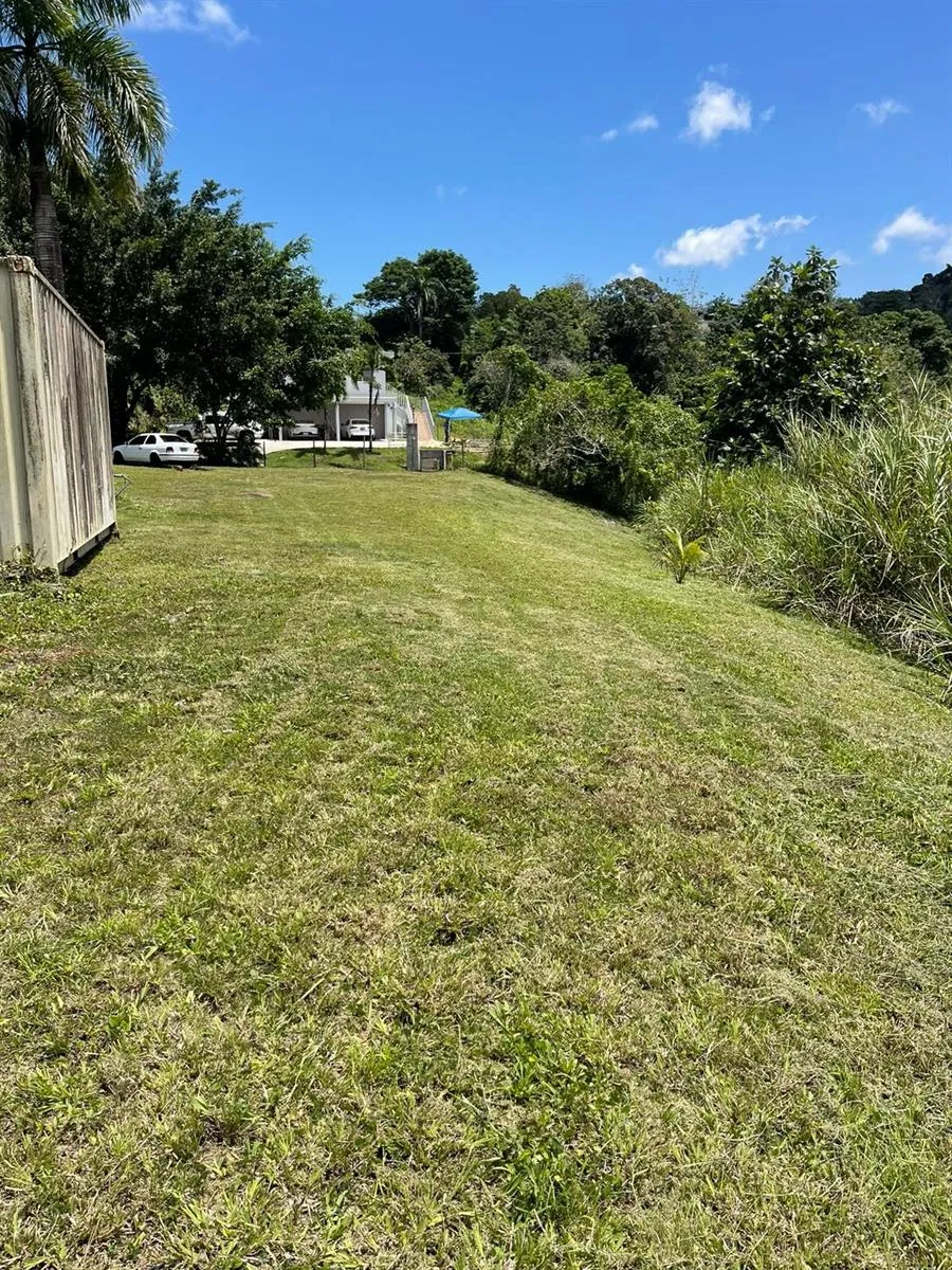 ROUTE 159 Corozal, PR 00783