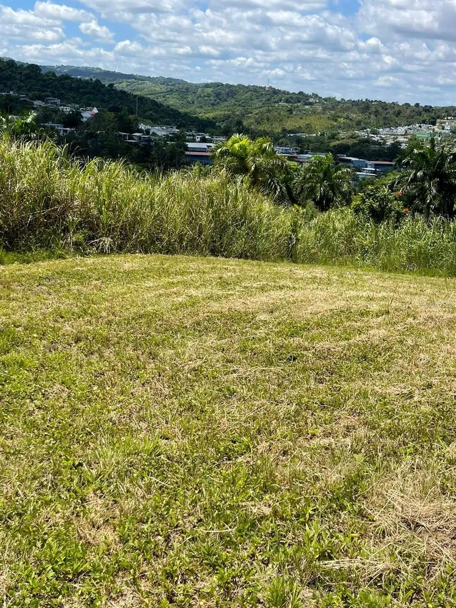 ROUTE 159 Corozal, PR 00783