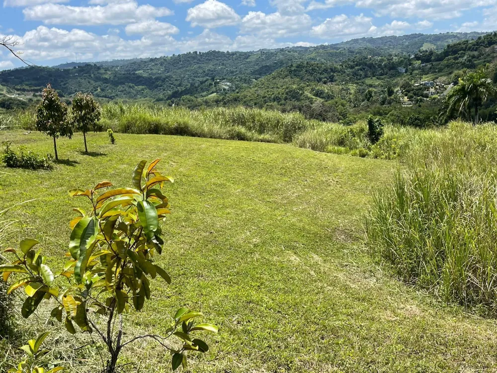 ROUTE 159 Corozal, PR 00783