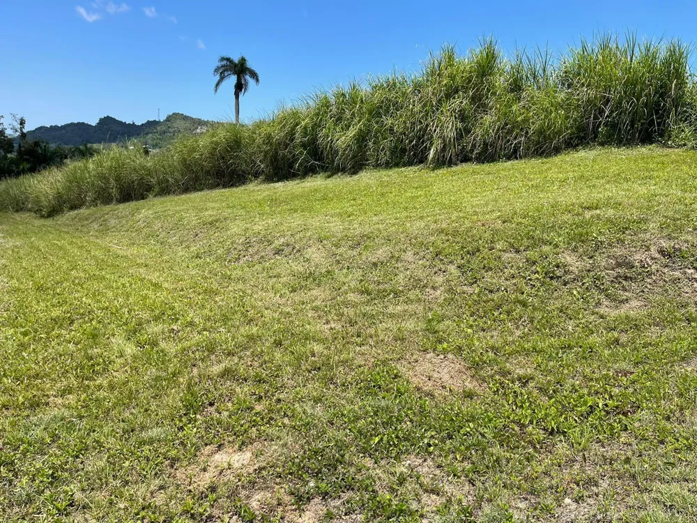 ROUTE 159 Corozal, PR 00783