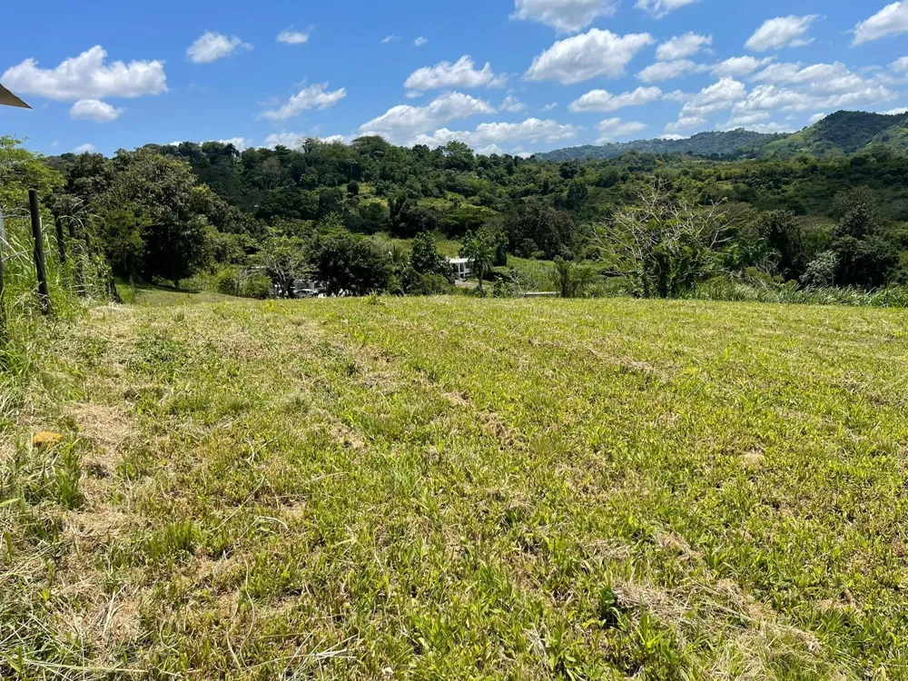 ROUTE 159 Corozal, PR 00783