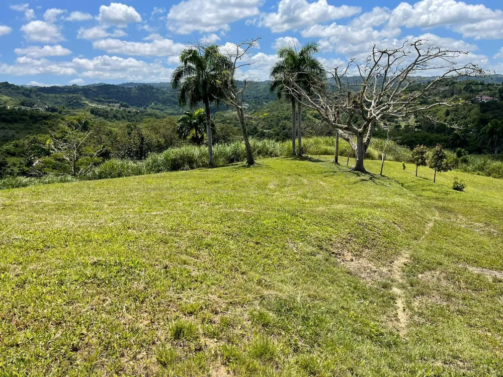 ROUTE 159 Corozal, PR 00783