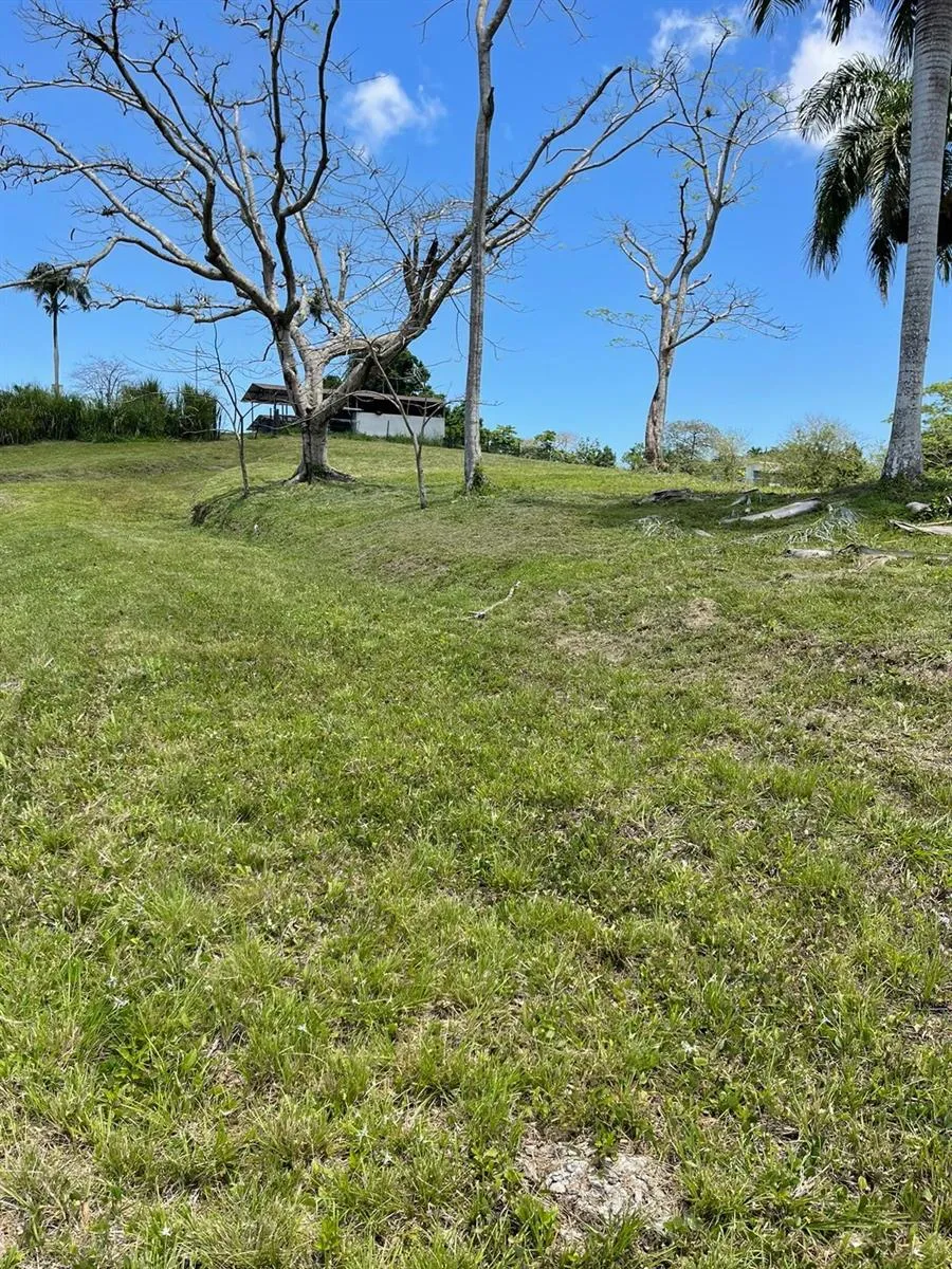 ROUTE 159 Corozal, PR 00783