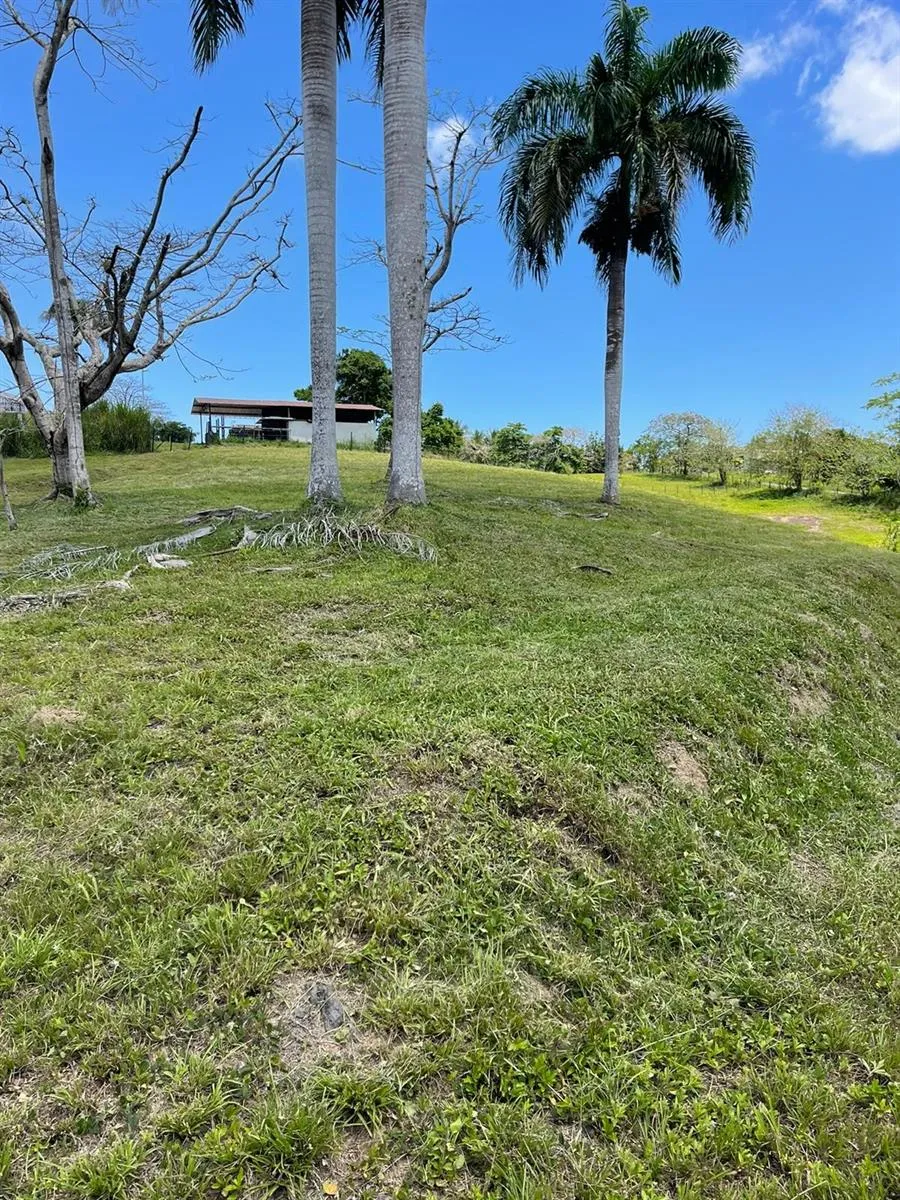 ROUTE 159 Corozal, PR 00783