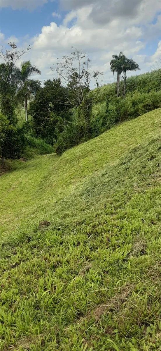 ROUTE 159 Corozal, PR 00783