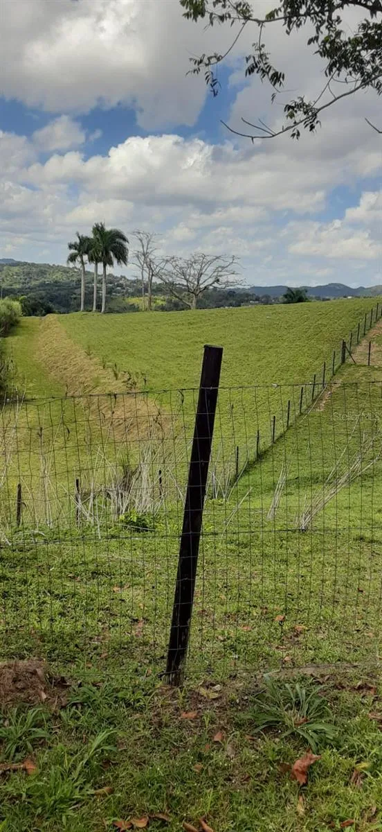 ROUTE 159 Corozal, PR 00783