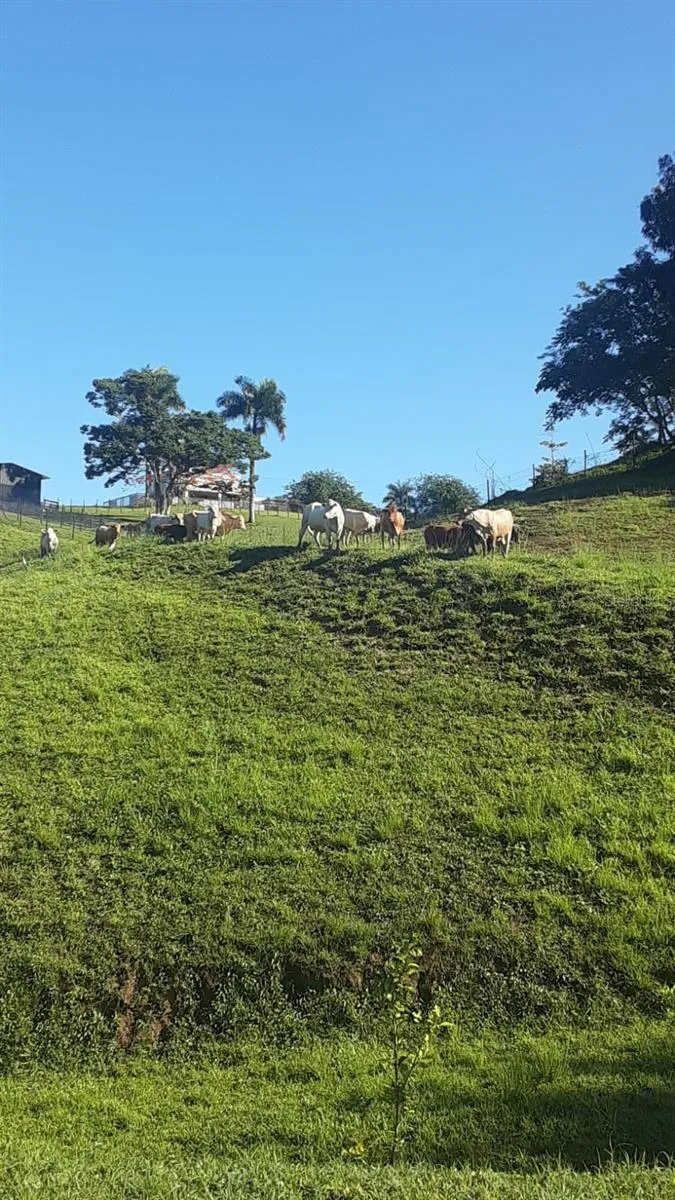 ROUTE 159 Corozal, PR 00783