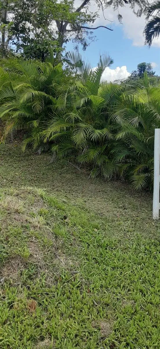 ROUTE 159 Corozal, PR 00783