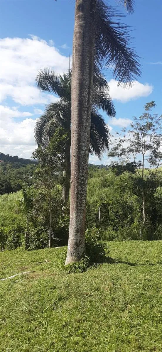 ROUTE 159 Corozal, PR 00783