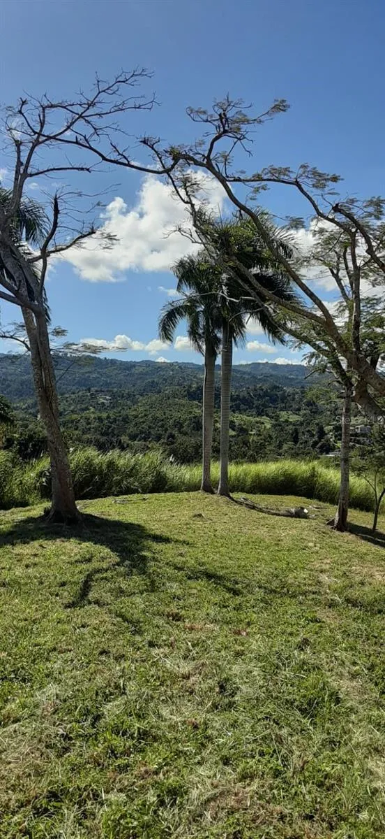 ROUTE 159 Corozal, PR 00783