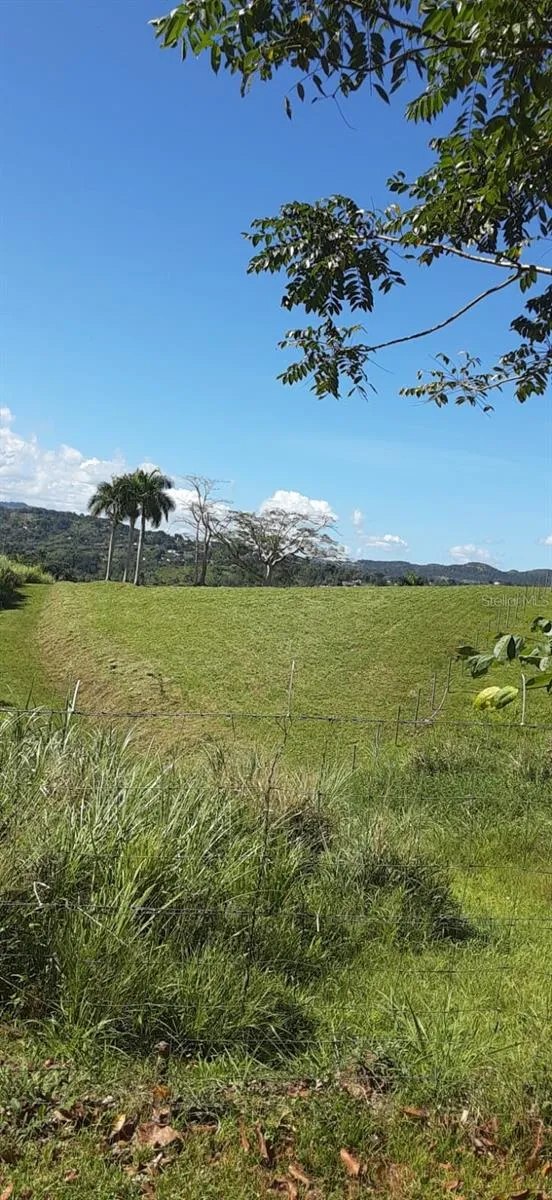 ROUTE 159 Corozal, PR 00783