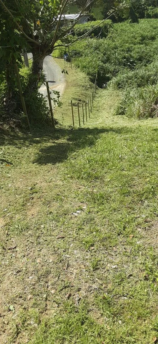 ROUTE 159 Corozal, PR 00783