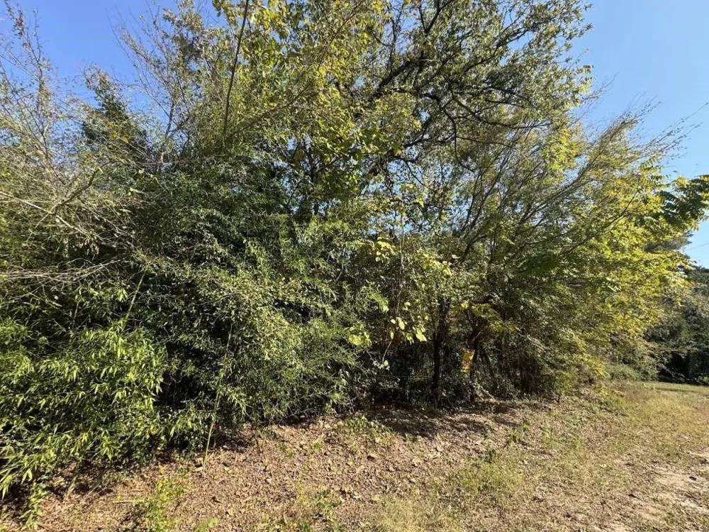 22785 Lakeway Harbor Flint, TX 75762